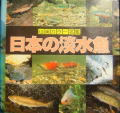 山渓カラー名鑑　日本の淡水魚