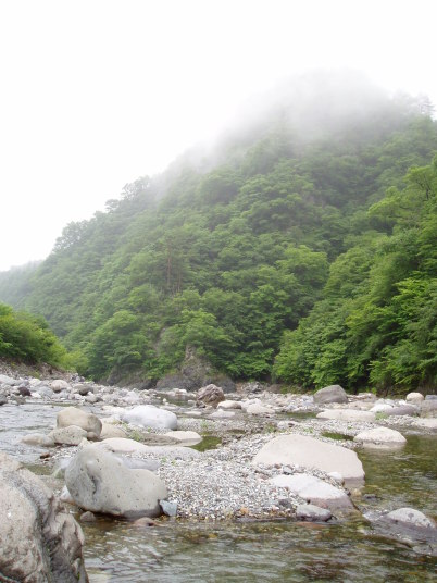 栃木県鬼怒川の渓流