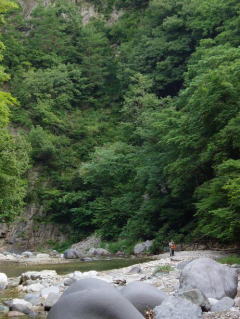 泙川の写真
