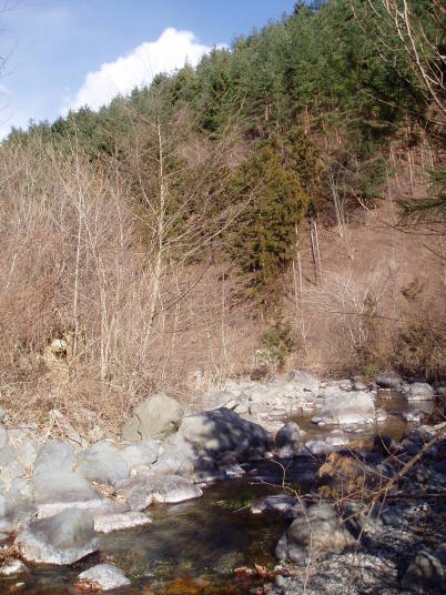 春先の渓流はカサカサ