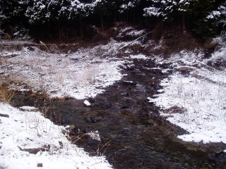 渓流の雪