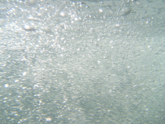 水中写真